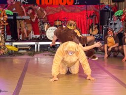 efg-fasching 2020-203